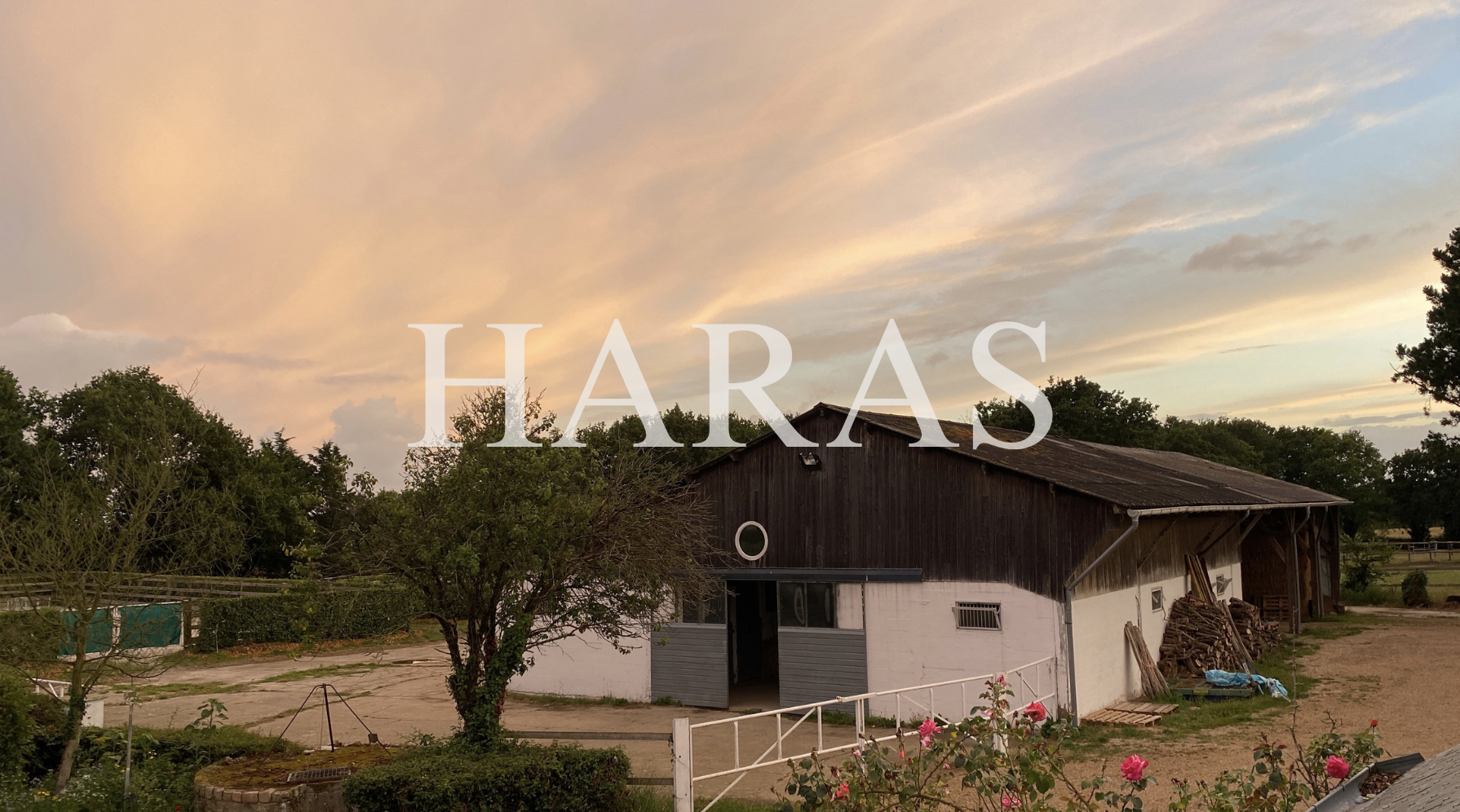 Haras